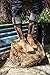 Foot Traffic Men's Cowboy Boot Socks