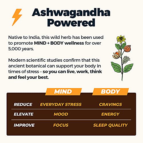 Atlas Mind + Body Fuel Protein Bars, Chocolate Variety, Erythritol Free