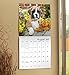 Shake Cats 2018 Calendar