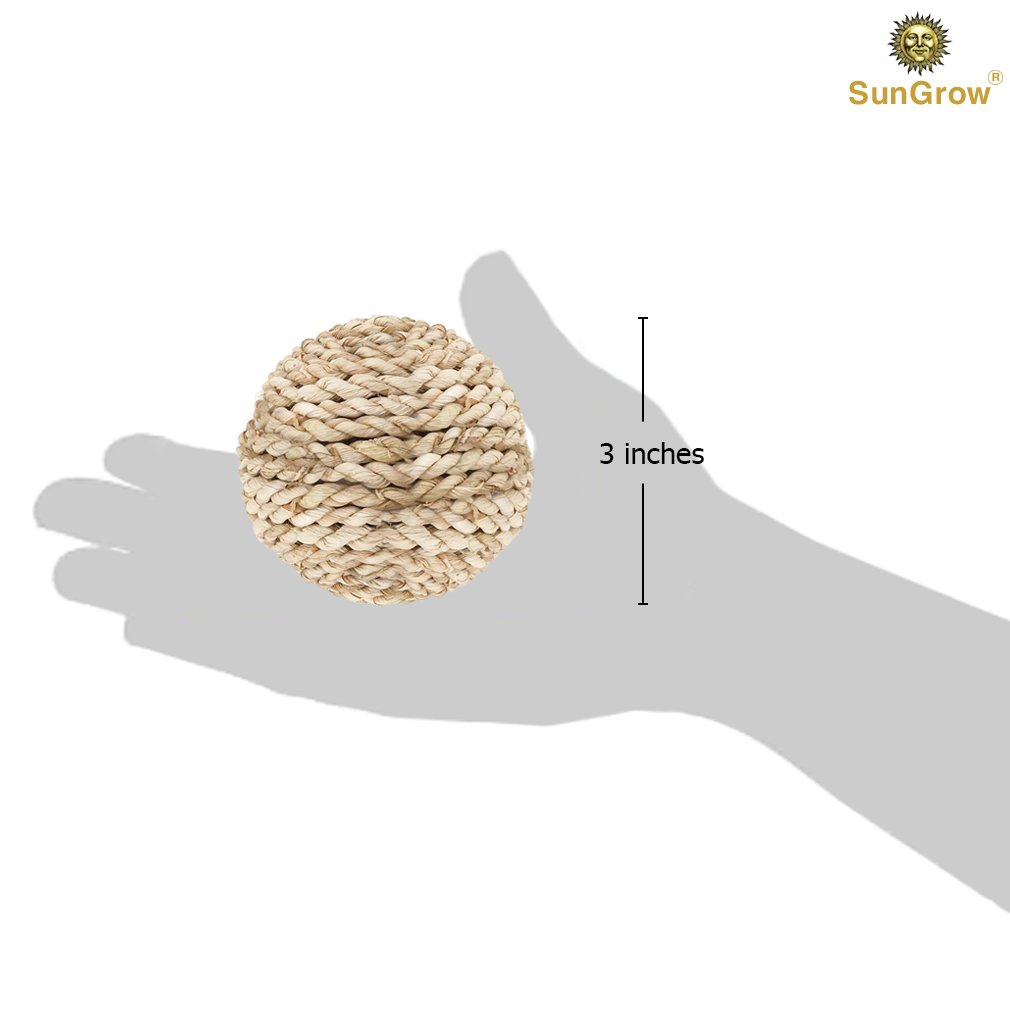 SunGrow Rabbit Rope Ball : Natural Grass Ball: Environmentally Friendly Toy: Entertaining & Fun for Your Pet: Suitable for Guinea Pigs & Chinchillas & Other Small Pets