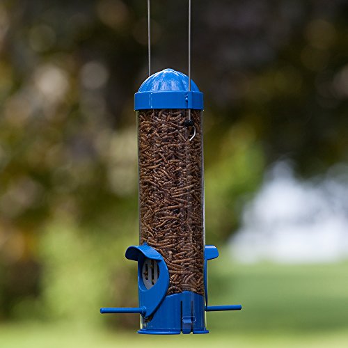 Perky Pet Mealworm Bird Feeder Buy Online See Prices