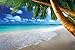 GREAT ART Photo Wallpaper – Palm Beach ‒ Picture Decoration Caribbean Dream Beach Bay Paradise Nature Tropical Island Trees Isle Blue Sky Image Decor Wall Mural (82.7x55.1in - 210x140cm)