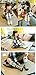 Gellwhu Baby Girls Boys Cotton Animal Cartoon Knee High Socks Stockings 9 Pairs (L(4-6 Year), Set A)