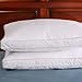 Set of 2, Down and Feather Pillow with 2