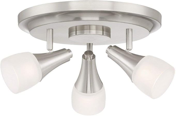 Amazon Com Quoizel Cfn1612bn Crofton Directional Spot Light Flush