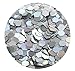 GLITTIES - (6PK) - Holographic Gold & Silver Glitter Kit - Solvent Resistant & Great for Nail Art Polish, Gels, Acrylics Supplies - Quality Glitter Made in the USA! - (60 Grams)