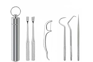 6 PCS Portable Stainless Toothpick,Metal Toothpick,Reusable Toothpicks and Toothpick Holder for Various Dining Scenes Especia