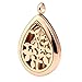JOVIVI Stainless Steel Gold Teardrop Aromatherapy Essential Oil Diffuser Locket Necklace