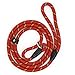 Coolrunner Pet Dog Slip Training Leash Lead for Dogs 10-80lbs 4foot/1.2m Long (Red)