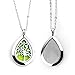 RoyAroma Aromatherapy Essential Oil Diffuser Necklace Stainless Steel Pendant Perfume Locket Women Jewelry