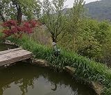 Unibos NATURAL Looking Heron Bird Decoy Deterrent Garden Ponds 78CM view 5