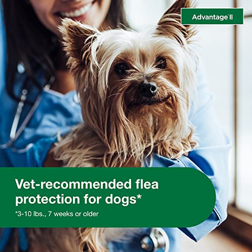 Advantage II Small Dog Flea Treatment & Prevention Dogs 310 lbs. 6Month