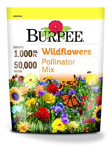 "Wildflower Seed Mix for Pollinators" - Image 5