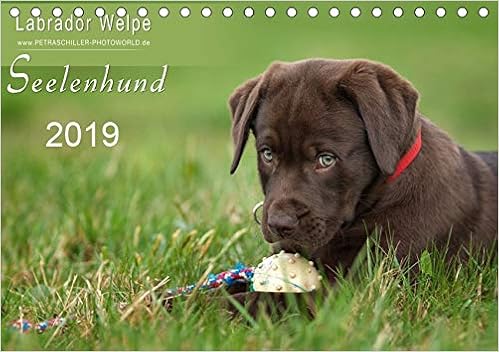 Labrador Welpe Seelenhund Tischkalender 2019 Din A5 Quer