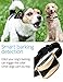 Felyong Bark Collar Dog Training Collar Rechargeable Anti-Barking Harmless Shock Safety for Small Medium Large Dog Adjustable 7 Sensitivity Beep Vibration Waterproof Training (1a)