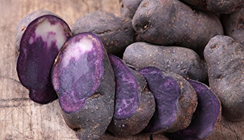 Simply Seed - Purple Majesty - Naturally Grown Seed Potatoes - 3 LB- Ready for Spring Planting