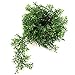 Larksilk 9 Foot Long Boxwood Garland Greenery for Party, Wedding, Event, Home Decor w/ Hanging Loops (One Piece)