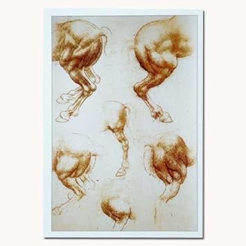 Amazon ポストカード レオナルド ダ ヴィンチのデッサン 07 馬のエチュード ａ ポストカード 絵柄付はがき 文房具 オフィス用品