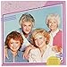 2020 Golden Girls Wall Calendar (DDW1572820)