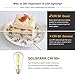 LEOOLS Dimmable E26 LED Filament Light Bulbs, 100 Watt Equivalent,5000K Daylight White,Classic Clear Glass Edison Style Vintage LED Light Bulbs,4 Pack