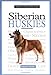 A New Owner's Guide to Siberian Huskies