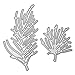 Whitelotous 2pcs Seaweed Die Cut Cutting Dies Stencils Embossing DIY Craft for Scrapbook Photo Album Paper Cards Gift