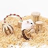 CCCYMM-6-Pcs-Pet-Natural-Wooden-Chew-Toys-Dumbells-Exercise-Bell-Molar-Toy-for-Parrot-Rabbit-Chinchilla-Guinea-Pig-Hamster-Small-Animals CCCYMM 6 Pcs Pet Natural Wooden Chew Toys Dumbells Exercise Bell Molar Toy for Parrot, Rabbit, Chinchilla, Guinea Pig…
