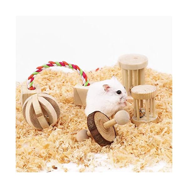 CCCYMM-6-Pcs-Pet-Natural-Wooden-Chew-Toys-Dumbells-Exercise-Bell-Molar-Toy-for-Parrot-Rabbit-Chinchilla-Guinea-Pig-Hamster-Small-Animals CCCYMM 6 Pcs Pet Natural Wooden Chew Toys Dumbells Exercise Bell Molar Toy for Parrot, Rabbit, Chinchilla, Guinea Pig…