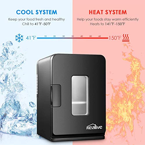Mini Portable Compact Personal Fridge Cools & Heats, 15 Liter Mini ...