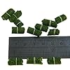 80pcs-in-1-Bottle-Green-Grass-Carp-Baits-Fishing-Lures-Fishing-Baits 80pcs-in-1-Bottle-Green-Grass-Carp-Baits-Fishing-Lures-Fishing-Baits