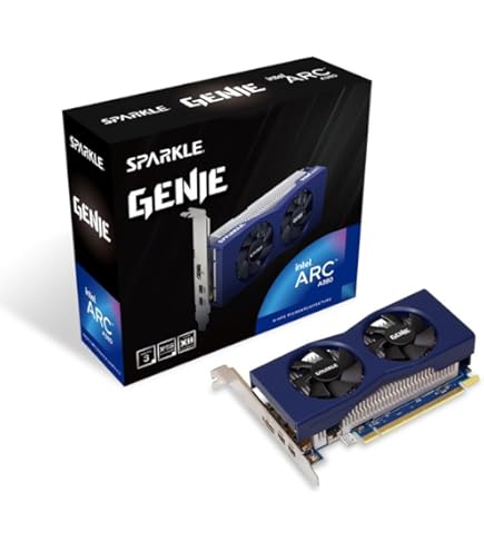 Amazon.com: Sparkle Intel Arc A310 ECO, 4GB GDDR6, 50W TBP