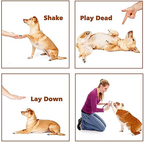 image for MEIREN Improved Handheld Dog Trainer, 3 in 1 Ultrasonic Dog Repellent 