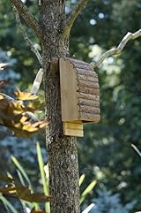 Greenkey 695 Medium Bat Box Natural Wood Grooved Ladder 20mm Entrance Crevice view 2