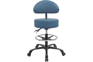 Lilfurni Swivel Rolling Stool Round Chair,Thick Sturdy Padding,Adjustable Stool with Wheels for Doctor,Medical,Massage Salon,Office,Shop(with New Back, Blue)