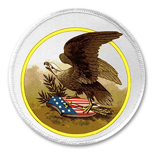 Eagle United States of America Flag 3" Sew On Patch Courage Strength Home Sign