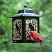 Perky-Pet 363 Birds and Berries Lantern Feeder