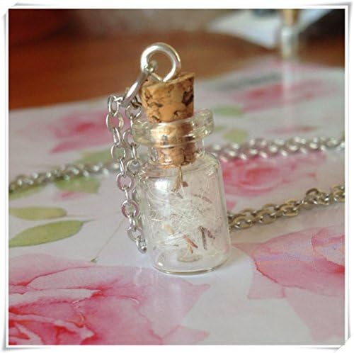 flowers and fruits Dandelion Fluff Wish Necklace, Jar of Wishes with Real Dandelion Seeds, Good Luck Charm