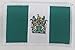 Cavalry Industrial Corp Old Style Zimbabwe Patch (Green & White)