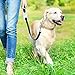 AIOZX 360° Tangle-Free, Heavy Duty Retractable Dog Leash with Anti-Slip Handle; 16 ft Strong Nylon Tape/Ribbon; One-Handed Brake, Pause, Lock