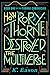 How Rory Thorne Destroyed the Multiverse: Book One of the Thorne Chronicles by K. Eason