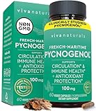 Pycnogenol 100mg from French Maritime Pine Bark