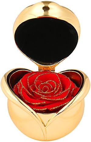 Angel Lover Best Gifts for Women,Preserved Flower Rose,Never Withered Roses,Upscale Immortal Flowers,Gifts Women,Her,Girls,Sister, Mother's Day,Valentine's Day,Anniversary,Birthday,Wedding (H.Red)