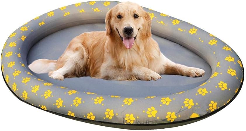 inflatable dog pool toy