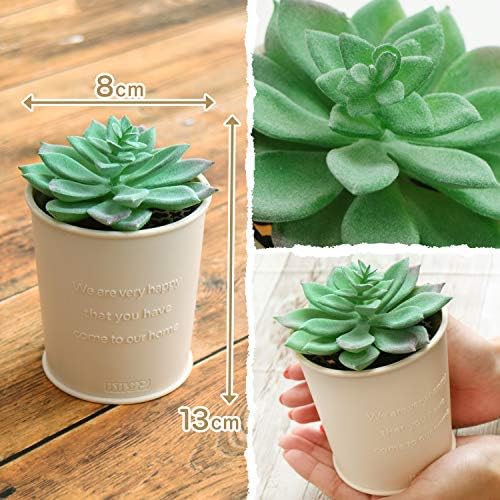 バルサン 虫こないもん 置くだけ 虫除け 2日 室内用 無臭 ブタ 電気 電池 火気不要なので安全 静か B084w 541円 大人気 New Arrival 最安値挑戦 年中無休 高品質 通販