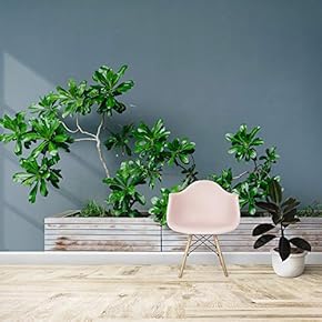 Wall Mural Nordic Style Green Plant Removable Self-Adhesive Large Wallpaper - 66x96 inches