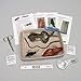 Young Scientist's Animal Dissection Kit – Hands-On Introduction To Animal Anatomy | Ideal For Middle And High School Students