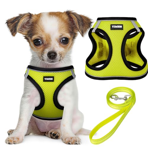 Reflective Mesh Dog Harness and Leash