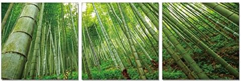 SLS Vision. Lost in Bamboo. 48 x 16 inches. Ready to Hang. Contemporary Art Modern Wall Decor, 3 Panel Commercial Grade Machine Framed Giclee Canvas Print. Home Decoration Painting. A1229S