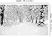 7x5ft White Accumulated Snow Woods Christmas Photography Backdrop Photo Background