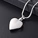 memorial jewelry No Longer by My Side,But Forever in My Heart Carved Locket Cremation Urn Necklace for Pet Dog Cats(Light Blue)